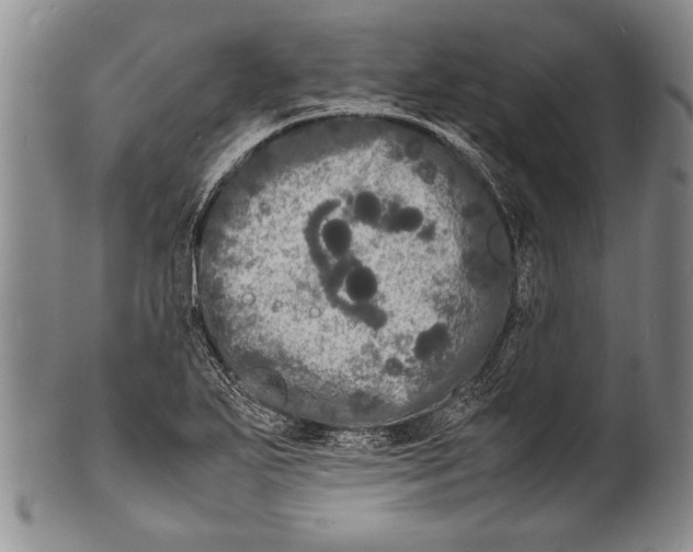 X0000100311271200806261154