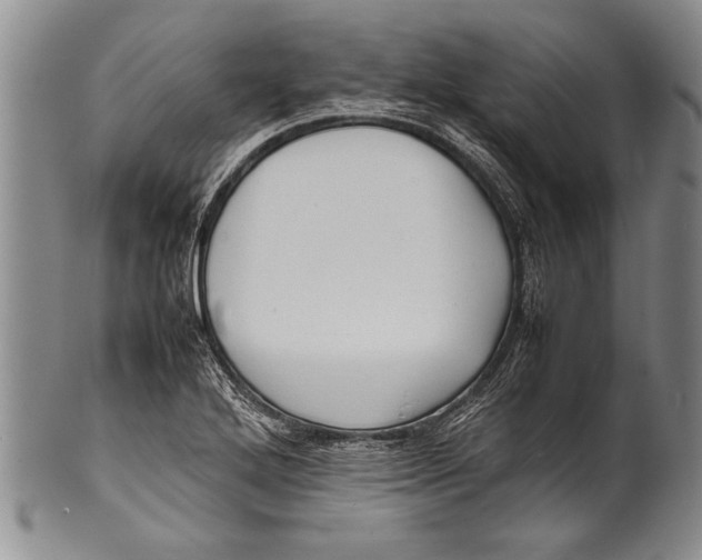 X0000100311272200806261154