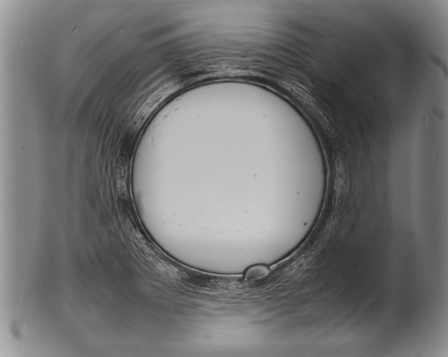 X0000100311273200806261154