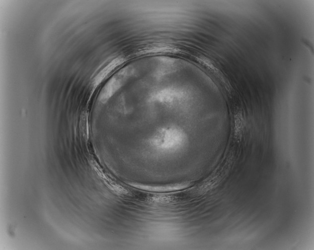 X0000100311274200806261154