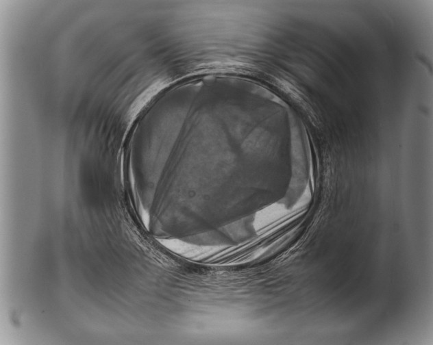 X0000100311275200806261154