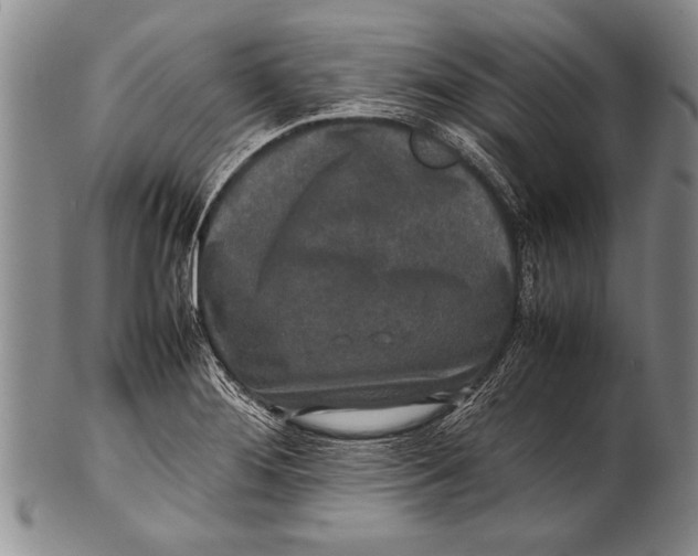 X0000100311276200806261154