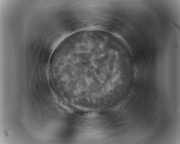 X0000100311278200806261154