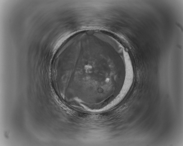 X0000100311279200806261154