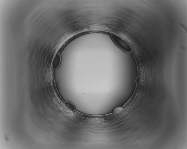 X0000100311280200806261154