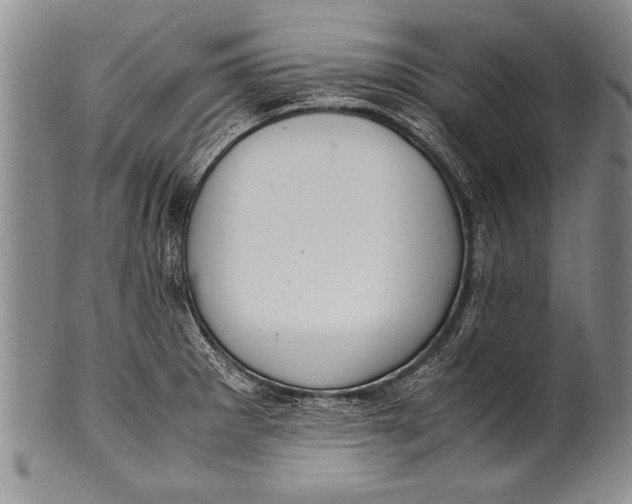 X0000100311281200806261154