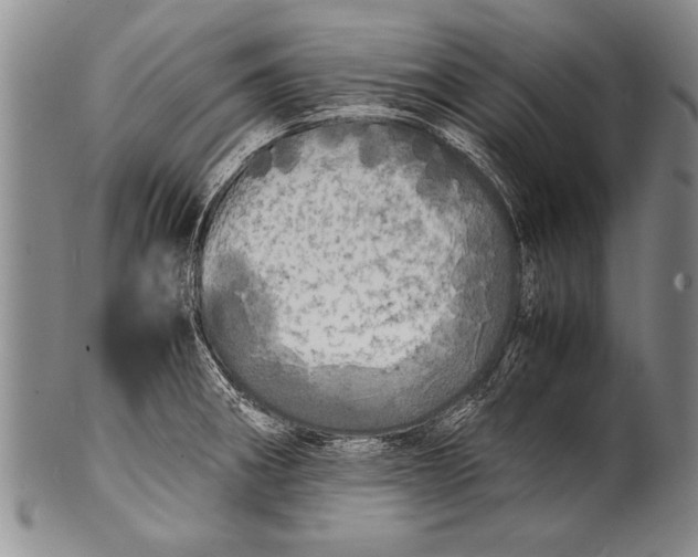 X0000100311282200806261154