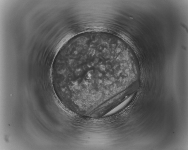 X0000100311283200806261154