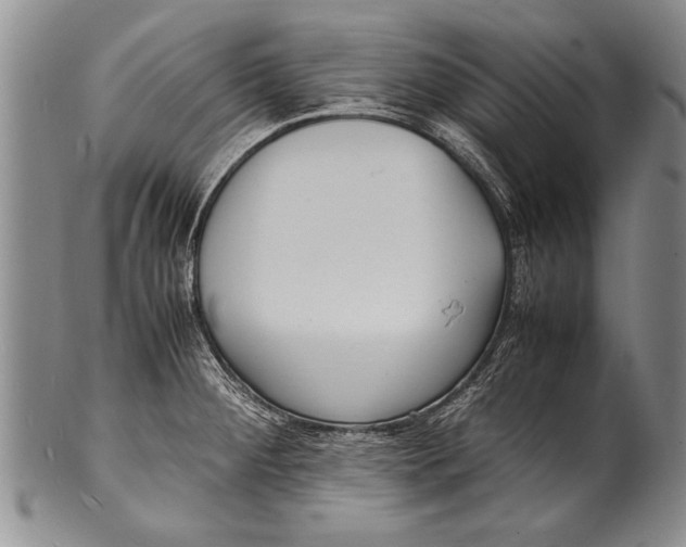 X0000100311284200806261154