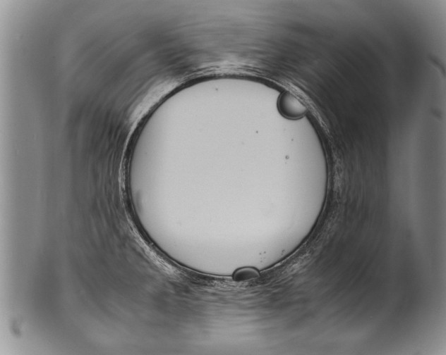 X0000100311285200806261154