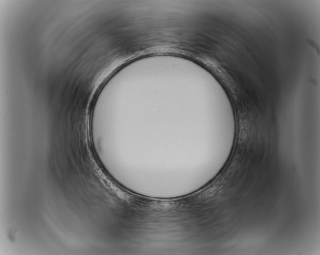 X0000100311286200806261154