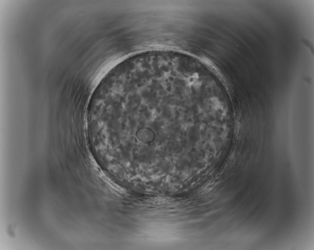 X0000100311287200806261154