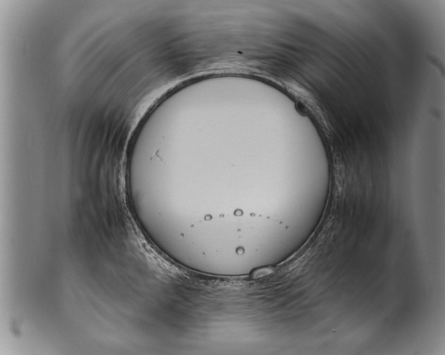 X0000100311288200806261154