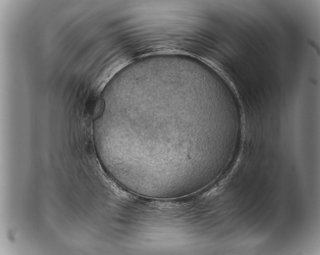 X0000100311289200806261154