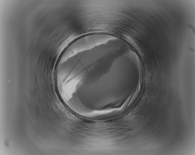 X0000100311291200806261153