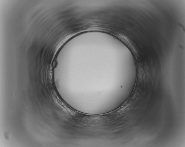 X0000100311292200806261153