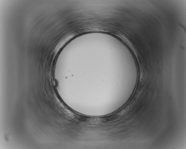 X0000100311293200806261153