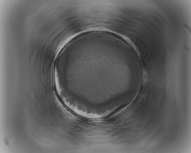 X0000100311295200806261153