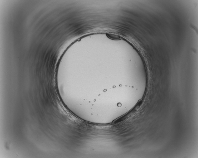 X0000100311296200806261153