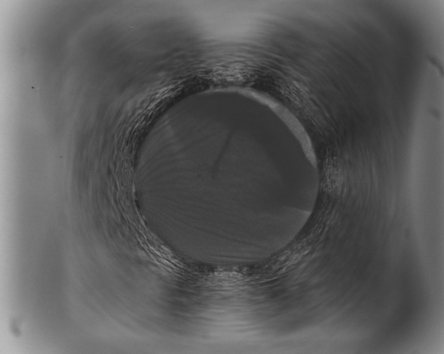 X0000100311297200806261153