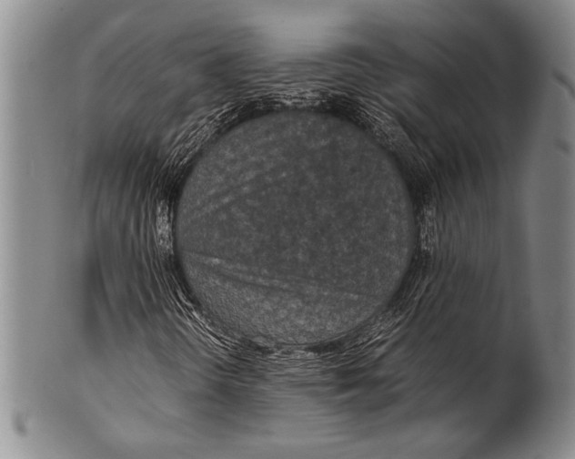 X0000100311298200806261153