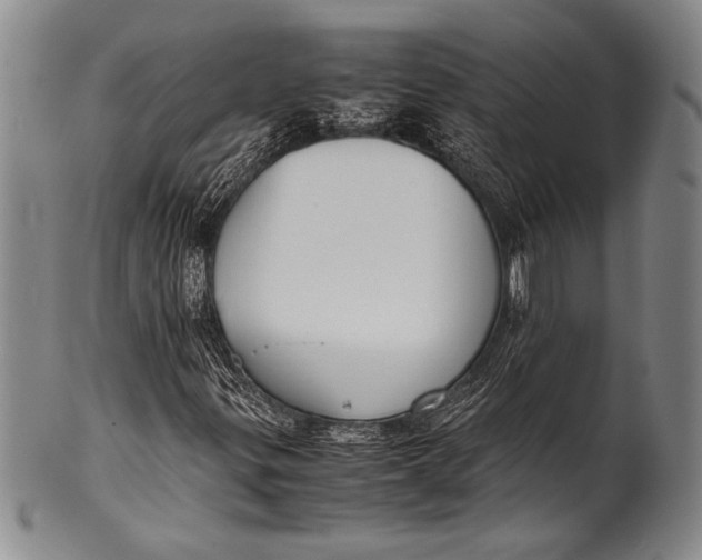 X0000100311299200806261153