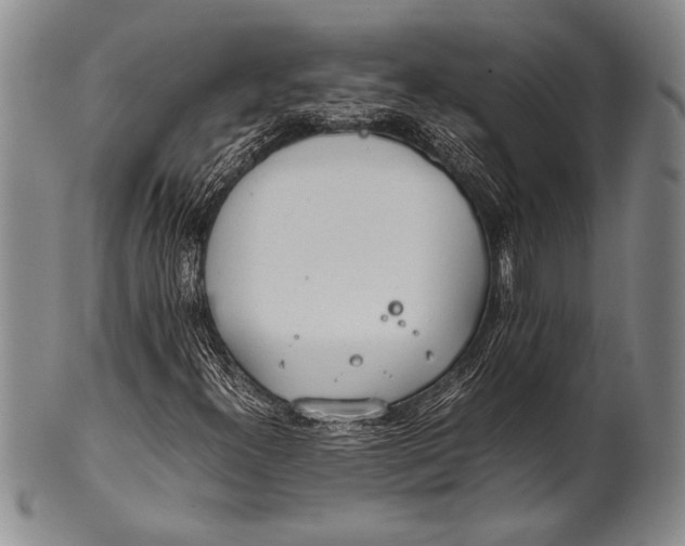 X0000100311300200806261153