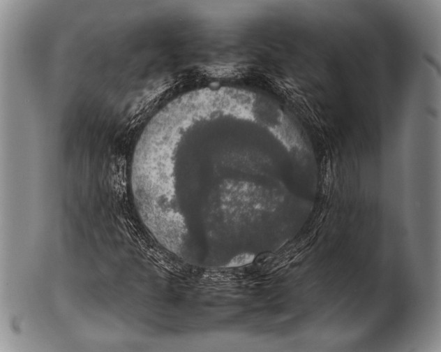 X0000100311301200806261153