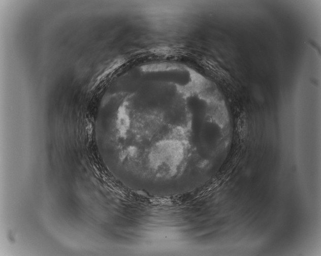 X0000100311302200806261153