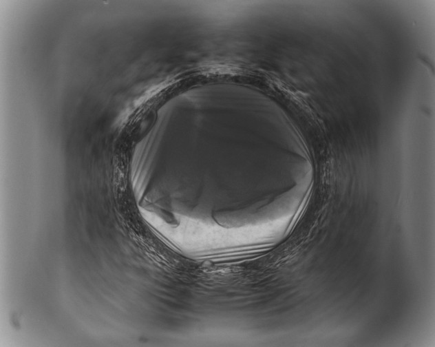 X0000100311303200806261153