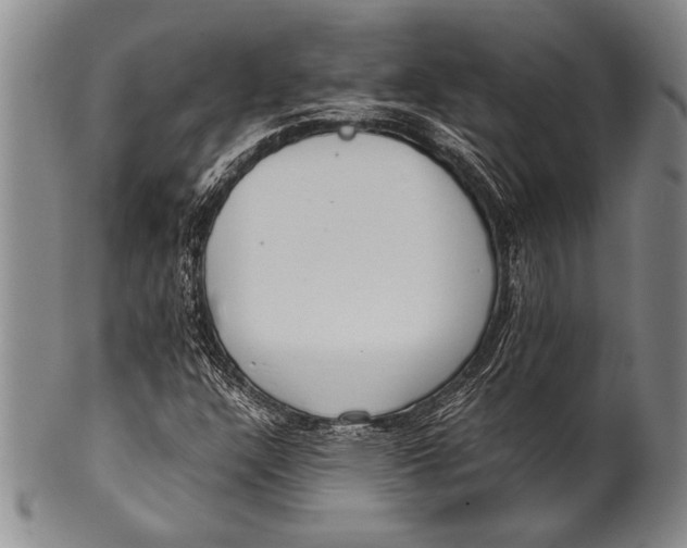 X0000100311304200806261153