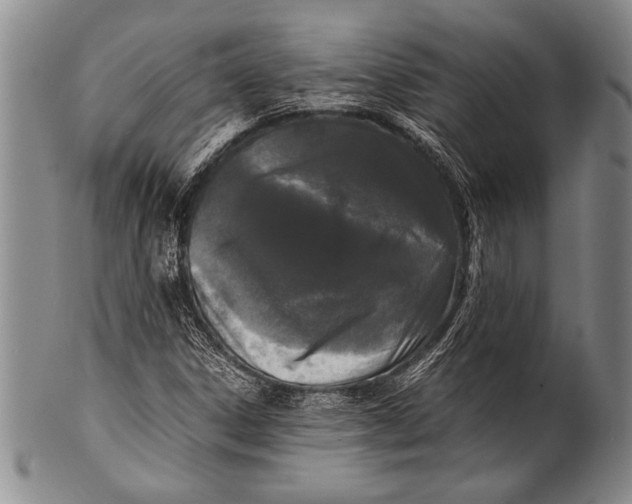 X0000100311306200806261153