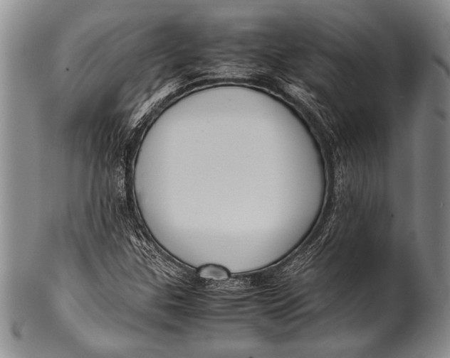 X0000100311307200806261153