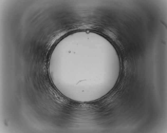 X0000100311308200806261153