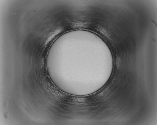 X0000100311309200806261153