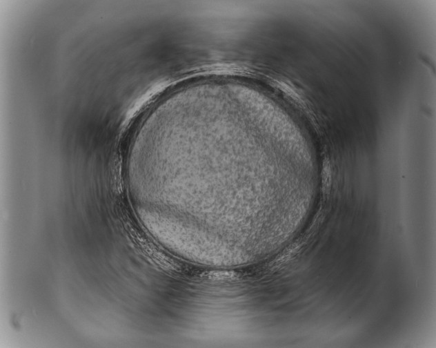 X0000100311310200806261153