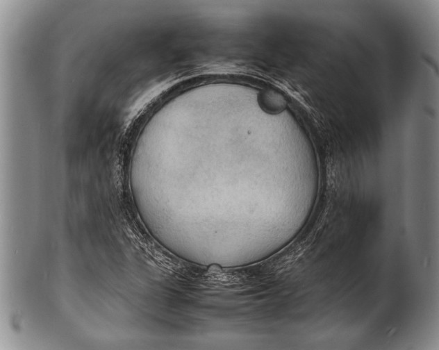 X0000100311311200806261153