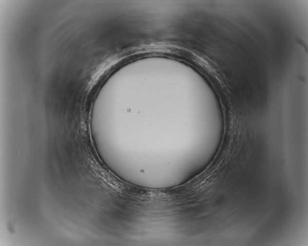 X0000100311312200806261153