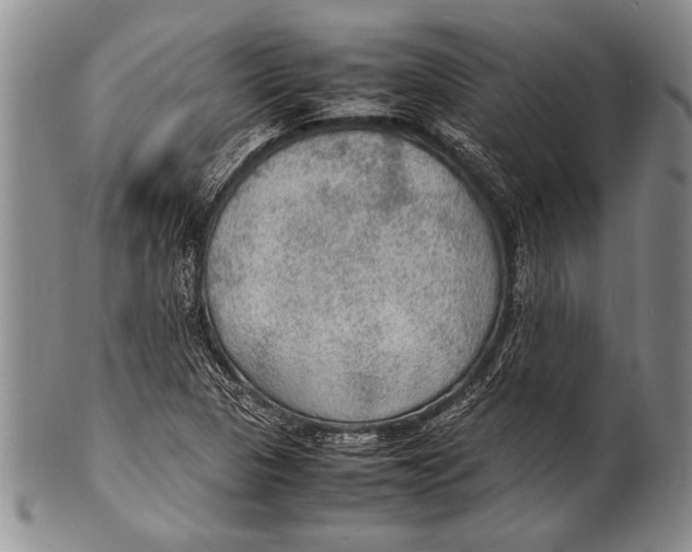 X0000100311313200806261153