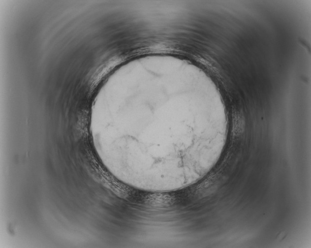 X0000100311314200806261153