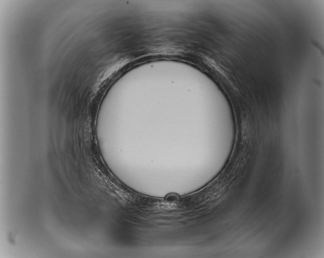 X0000100311315200806261153