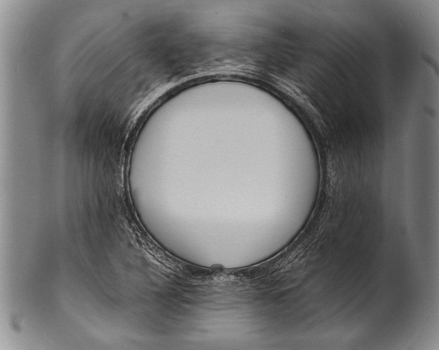 X0000100311316200806261153