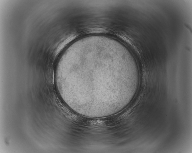 X0000100311317200806261153