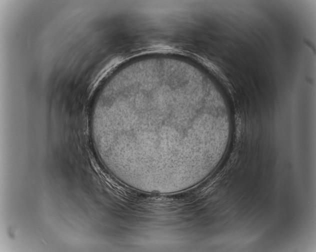 X0000100311318200806261153