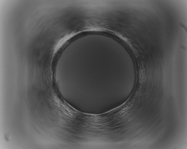 X0000100311319200806261153