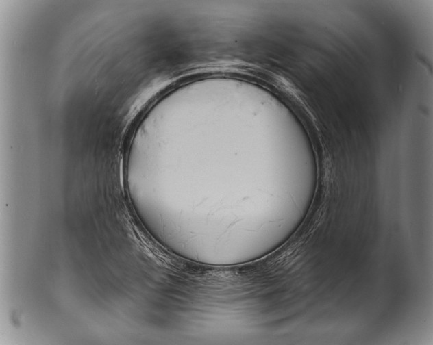 X0000100311320200806261153