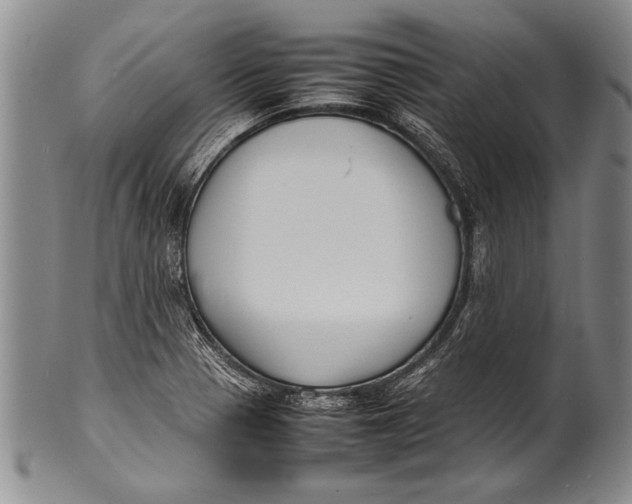 X0000100311321200806261153