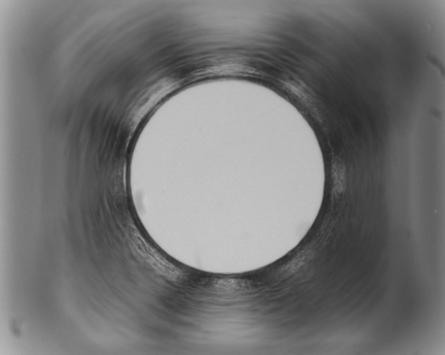 X0000100311322200806261153