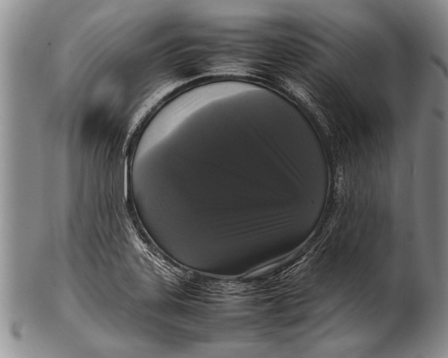 X0000100311323200806261153