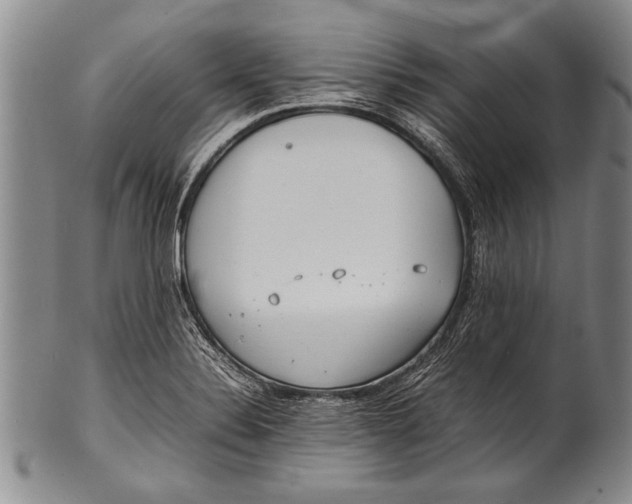 X0000100311324200806261153